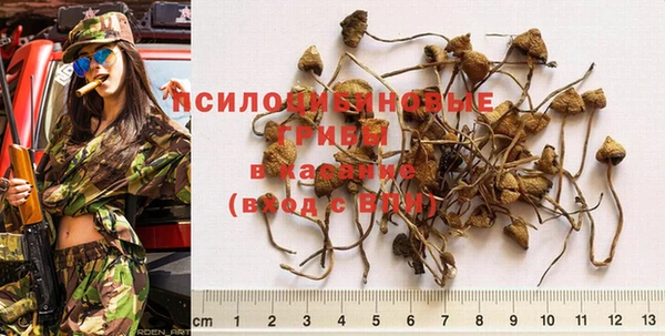 MDMA Premium VHQ Бронницы