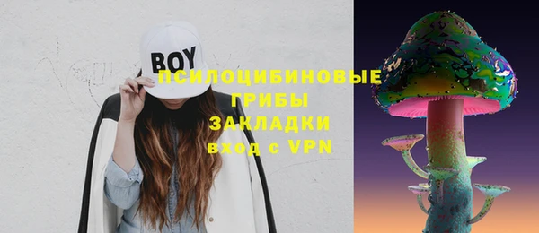 дмт Верея
