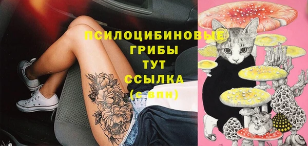 2c-b Верхний Тагил