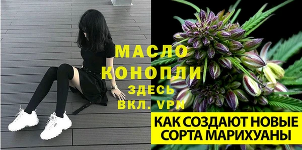 2c-b Верхний Тагил