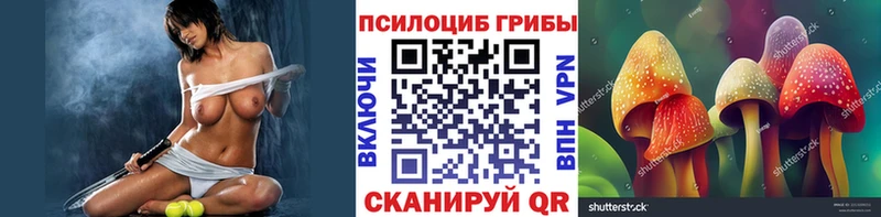 цена наркотик  Ковдор  Галлюциногенные грибы GOLDEN TEACHER 
